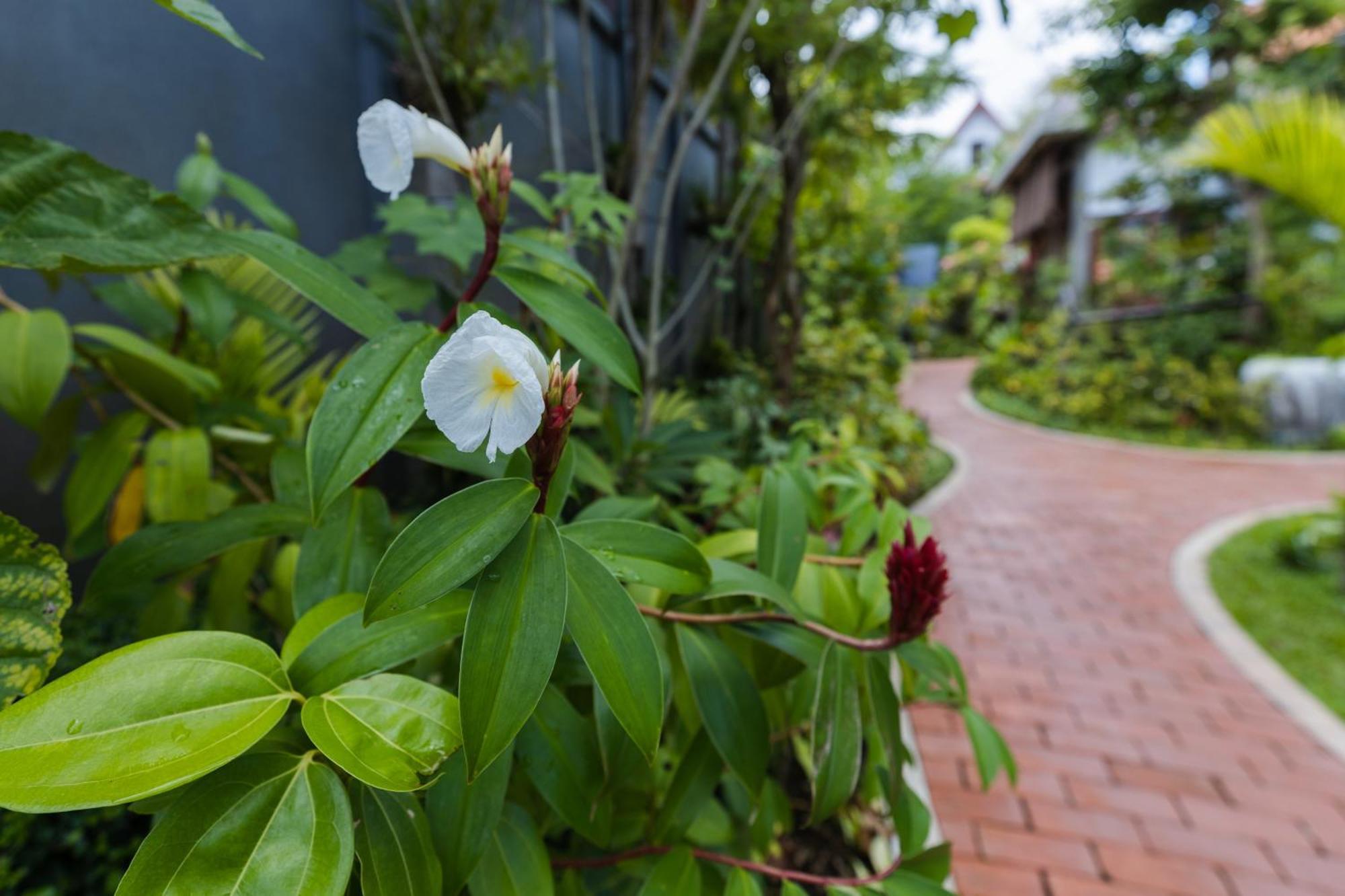 3 ห้องนอน 3 ห้องน้ำส่วนตัว ขนาด 45 ตร.ม. – ศาลา กำรึก Villa เสียมราฐ ภายนอก รูปภาพ